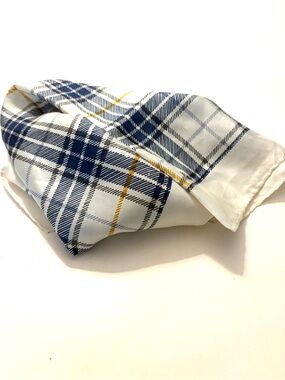 FASHION SCARVES Blue and White Plaid Silk Scarf